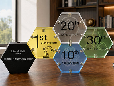 Description of award five