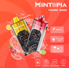 Review MiNTOPiA Turbo 9000 puffs vape. Specifications