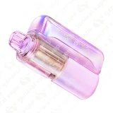 Geek Bar Mate Vape