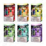 Space Mary 25000 puffs