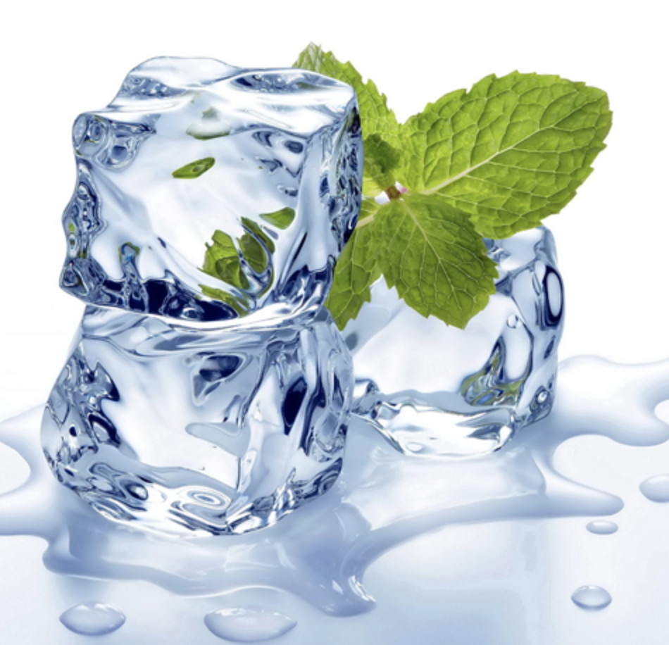 Menthol Disposable Vape, review and where to buy?