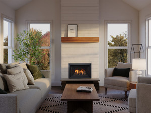 Regency Atmosphere Gi25LE Extra-Small Gas Fireplace Insert
