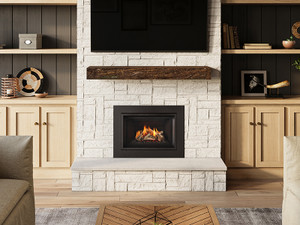 Regency Atmosphere Gi27LE Small Gas Fireplace Insert