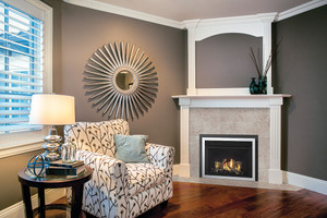 Regency Horizon HRI3E Small Contemporary Gas Fireplace Insert
