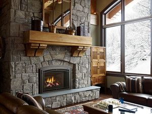 Regency Liberty LRI6E Large Traditional Gas Fireplace Insert