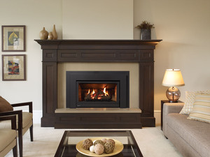 Regency Energy U31 Medium B-Vent Gas Fireplace Insert