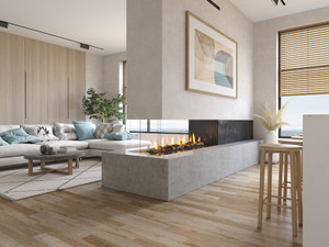 Regency City Series Santa Monica Pier 60 (CP60E) Three-Sided Peninsula Gas Fireplace