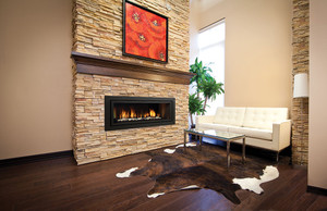 Regency Horizon HZ54E Large Contemporary Gas Fireplace