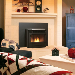 Regency Greenfire GFI55 Pellet Fireplace Insert