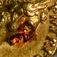 Obverse - Close-up on copper spot. 

See NGC article, "Gold Coin Grading: Seeing Spots Is Not Necessarily a Bad Thing" [3/21/2009] 

Link: https://www.ngccoin.com/news/article/1197/gold-coin-grading/