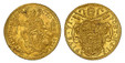 1085701 ITALIAN STATES. Papal States. Pius VI. (Pontiff, 1775-1799). 1775-I AV Zecchino. NGC MS62.  3.43gm. PIVS• VI• - PONT• M• A• I•. Papal arms / AVXLIVM• DE• - SA - NCTO - (date). Radiant Holy Mother Church, seated. KM 1029; Fr.-243; Muntoni 7...