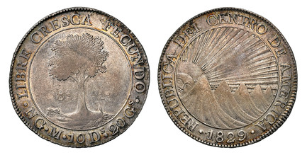 1085714 CENTRAL AMERICAN REPUBLIC. 1829-NG M AR 8 Reales. NGC AU55.  Guatemala City. Five mountains, sun has large, full face / Tree divides denomination. KM 4.

Please use this link to verify the NGC certification number <a href="https://www.ngcc...