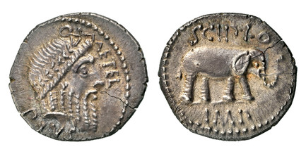 1086751 ROMAN IMPERATORIAL.  Metellus Pius Scipio. (Imperator, 47-46 BC). Struck circa 47-46 BC . AR Denarius. NGC MS✭ (Mint State ✭) Strike 5/5 Surface 5/5.  Military mint traveling with Scipio in Africa. 18mm. 3.75gm. Q. METEL PIVS. Laureate hea...