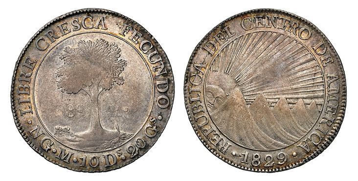 1085714 CENTRAL AMERICAN REPUBLIC. 1829-NG M AR 8 Reales. NGC AU55.  Guatemala City. Five mountains, sun has large, full face / Tree divides denomination. KM 4.

Please use this link to verify the NGC certification number <a href="https://www.ngcc...