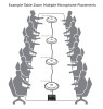 Example Table Zoom Multiple Microphone Placements 