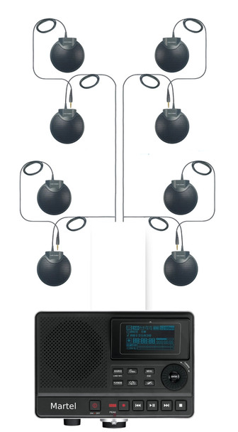 Large Meeting Professional Recording package