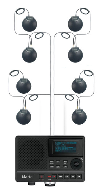 DM430 Ultimate Large Group Digital Meeting Recorder 8 Microphone Package 