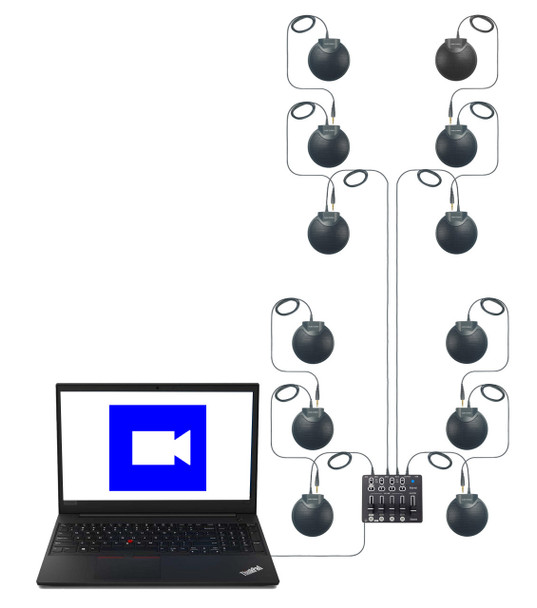 Zoom multiple microphone system 