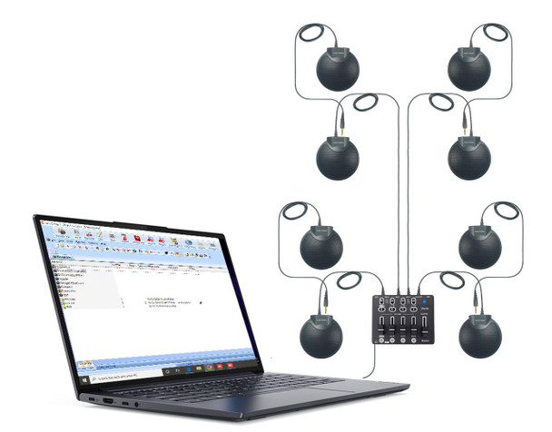 Court reporter wired microphone