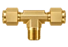 DTN brass compression fitting — representative colored series image; dimensions vary by model.