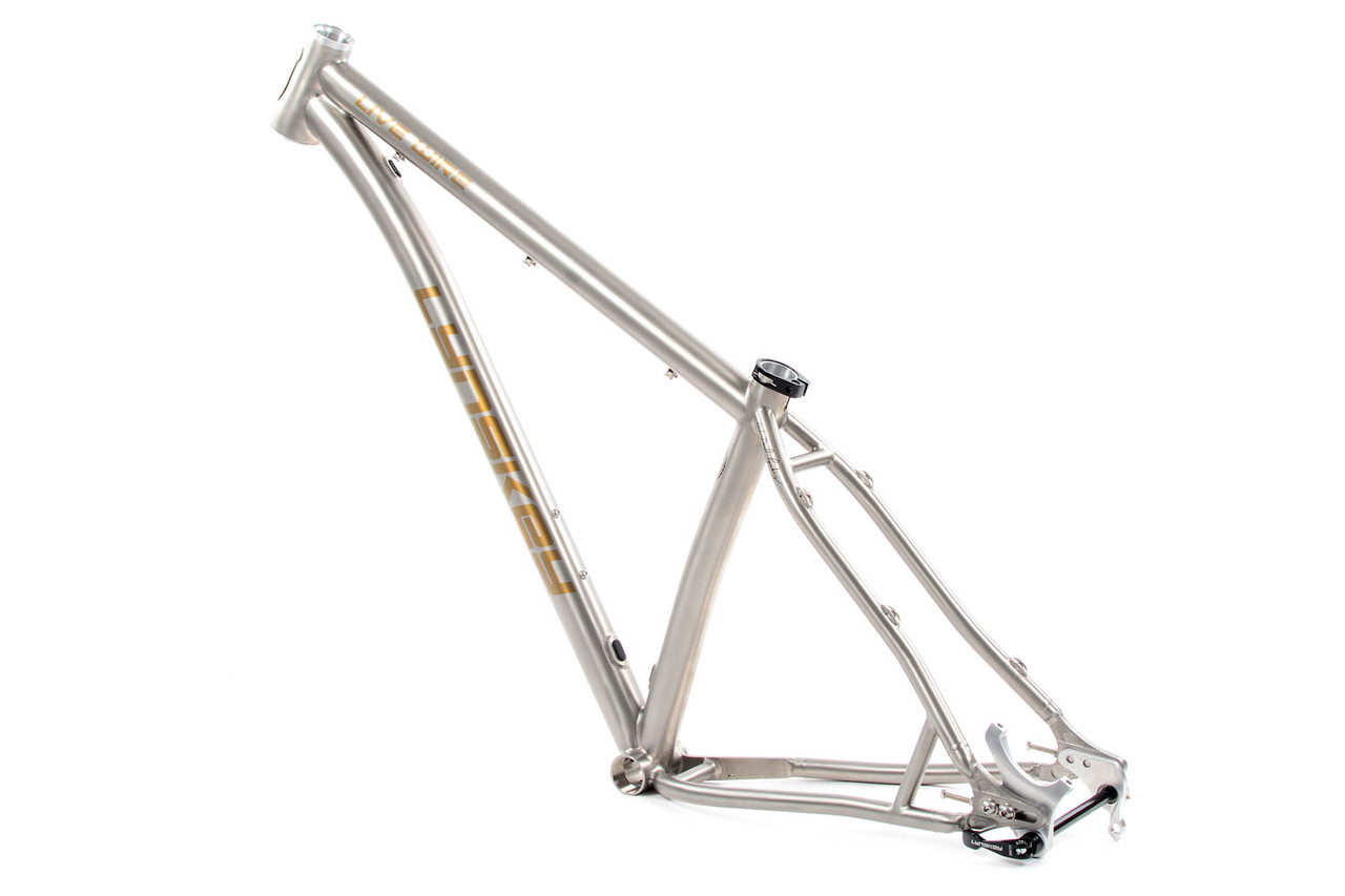 Live Wire SL Hardtail Mountain Bike Frame