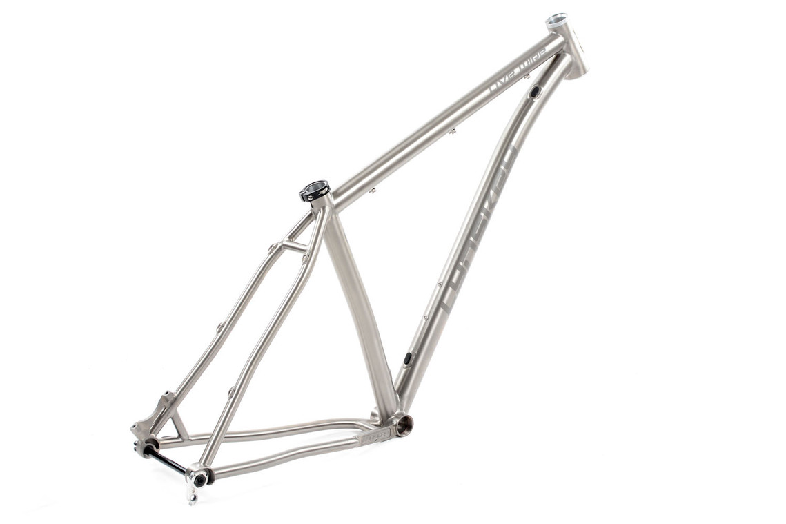 Back Angle of the Live Wire Hardtail Mountain Frame