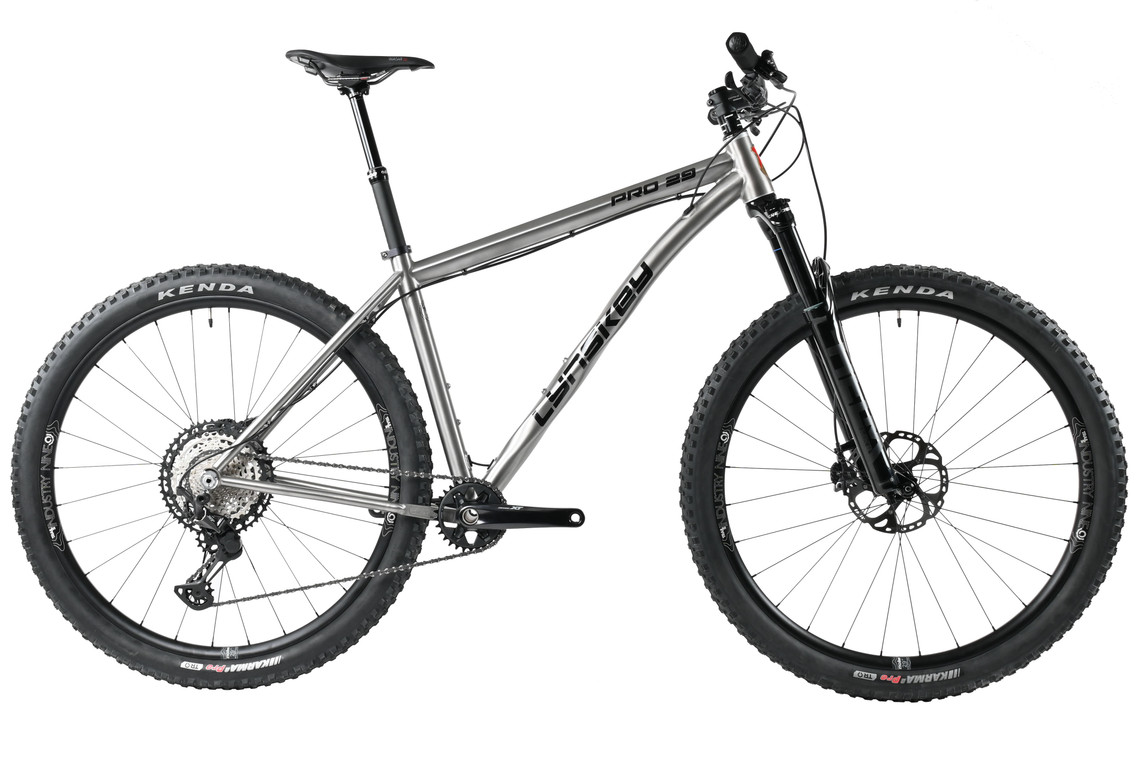 2024 Pro 29 Mountain Bike