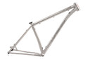 Side View of Live Wire Hardtail Mountain Frame 