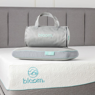 Bloom Cooling Travel Pillow