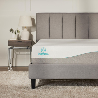 Bloom Cloud Mattress Test