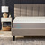 Bloom Mist Mattress