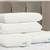 Bloom Chill Foam Pillow
