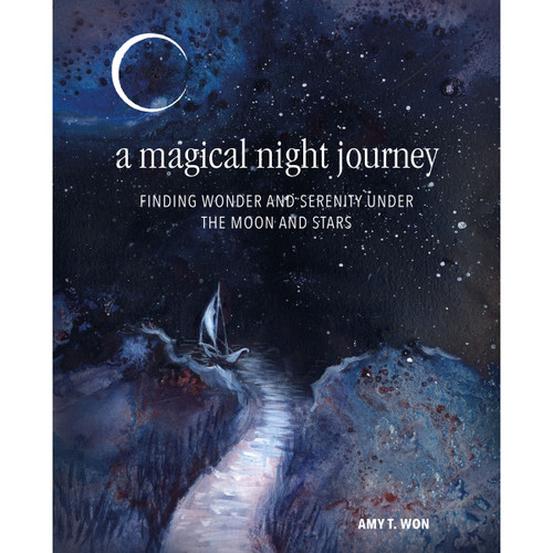 A Magical Night Journey Under the Moon & Stars - Amy T. Won