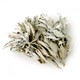 White Sage Leaf Clusters - High Grade (1 oz / 28 grams)