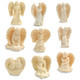 Tiny Amazing Angels (Mixed Pack of 12)