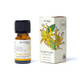 Ylang Ylang Aromafume Essential Oil (10ml)