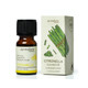 Citronella Essential Oil