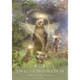Angels of Nature Oracle - Sandra Anne Taylor