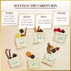Oud Bakhoor Incense Bricks Variety Box (Refill Pack)