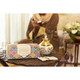 Oud Bakhoor Incense Bricks Variety Box (Refill Pack)