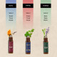 3 Dosha Aromatherapy Roll-on Gift Set (3 x 5ml)