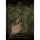 Witch's Homestead Oracle - Hadas Knox & Giada Rose