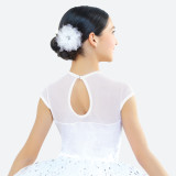 BALLET OF THE SNOWFLAKE