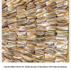 natural shell art