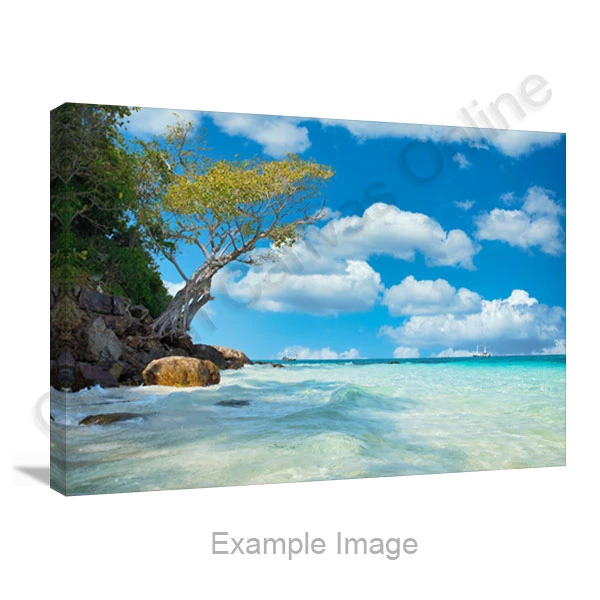 canvas prints