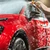 Autoglym Foaming Car Wash 1L