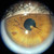 Marco ION Imaging System Sample View