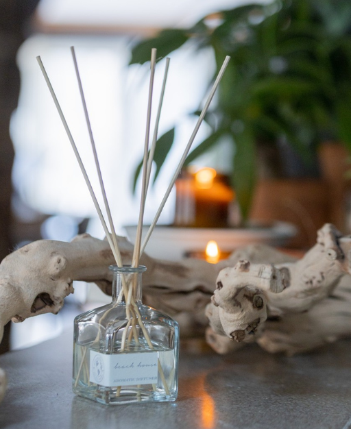 Reed Diffusers | Eco Candle Co. | Home Fragrance