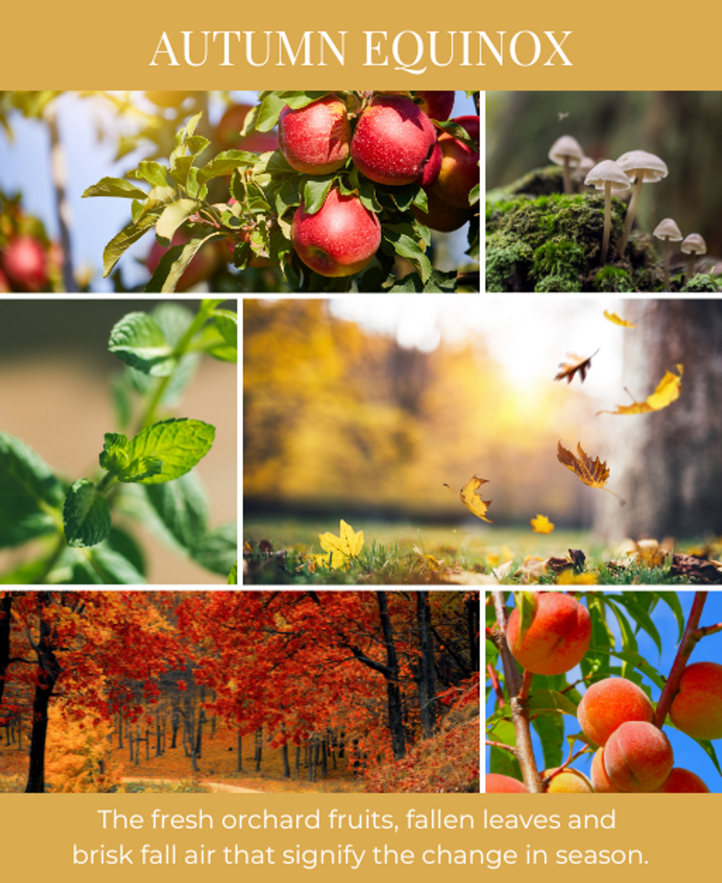 Autumn Equinox Autumn Equinox