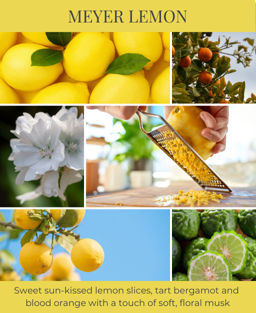 Meyer Lemon